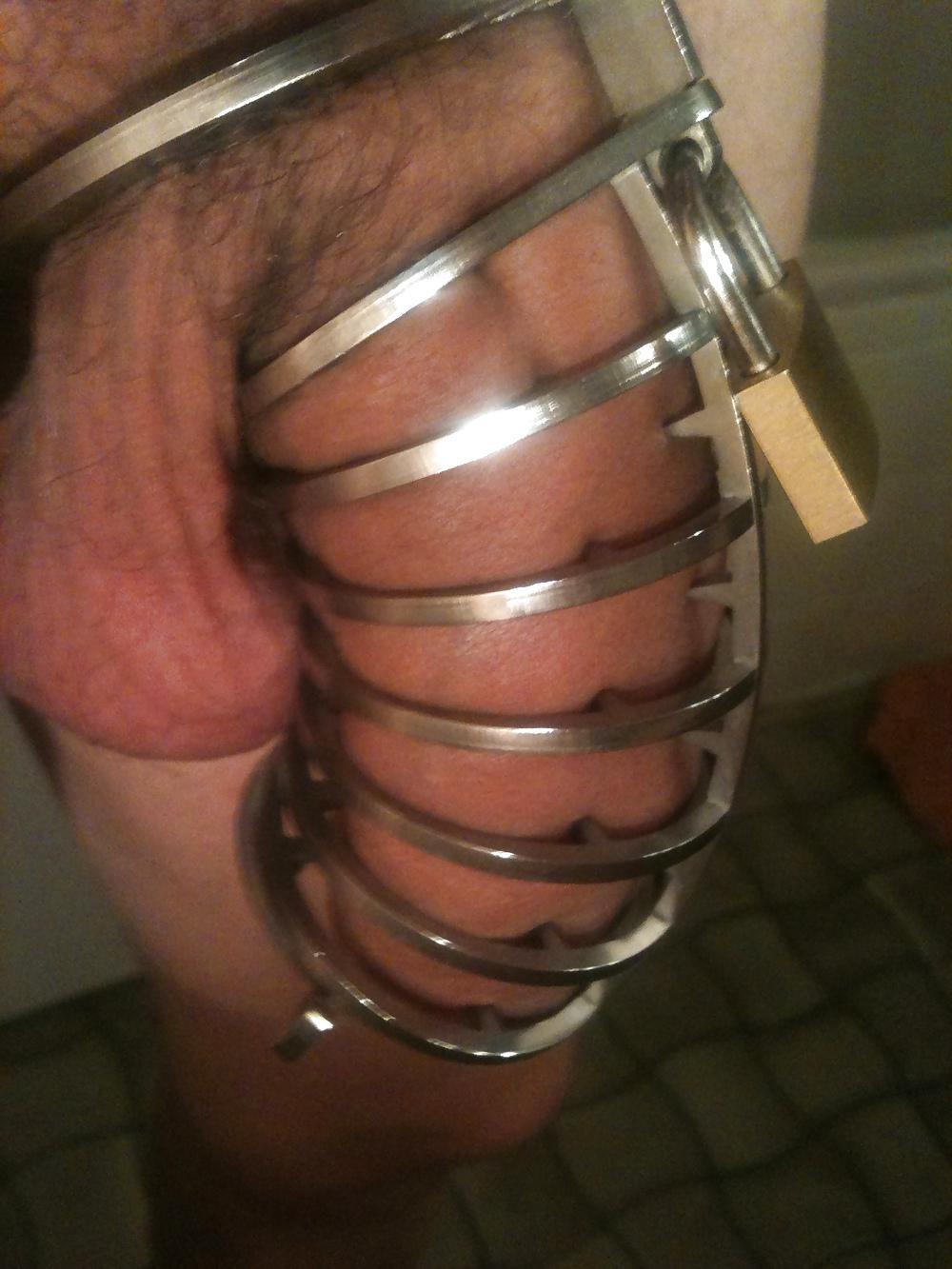 15P Chastity cage 