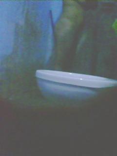 7P Hidden cam siste 2