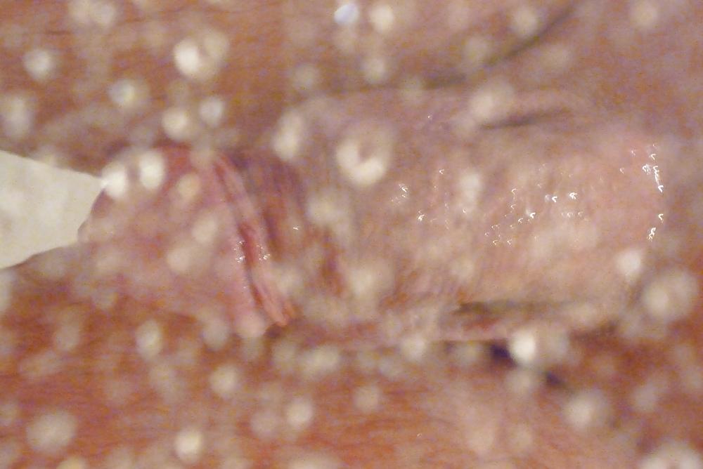 17P Holiday sex2