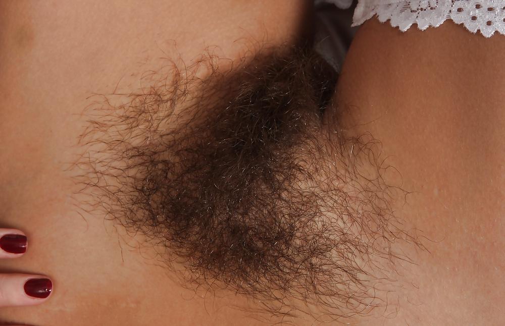 25P From the Moshe Files: Fresh Pussy Hirsute
