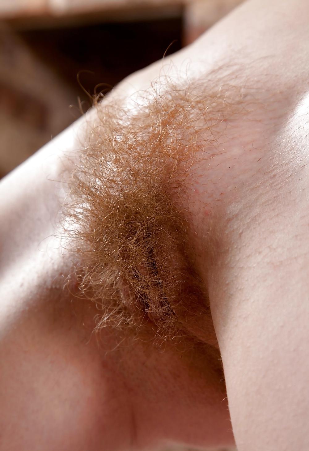 25P From the Moshe Files: Fresh Pussy Hirsute