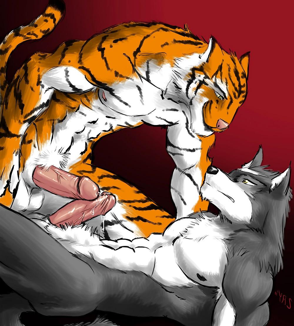 16P Furry and funny