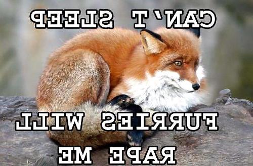 16P Furry and funny