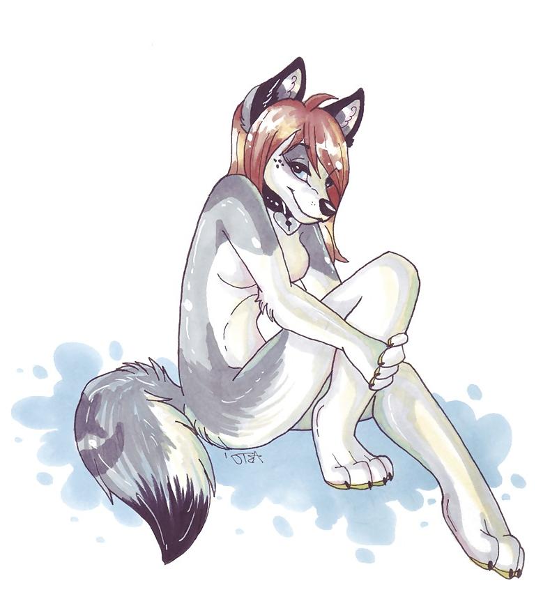 16P Furry and funny