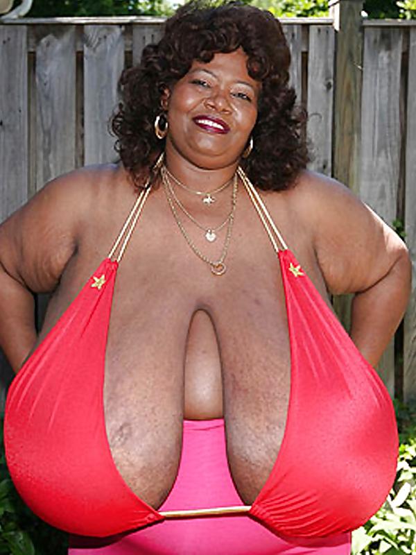 25P The Queen of TITS - Norma Stitz
