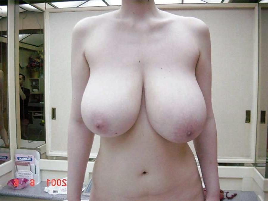 20P Breast Lovers Dream 485