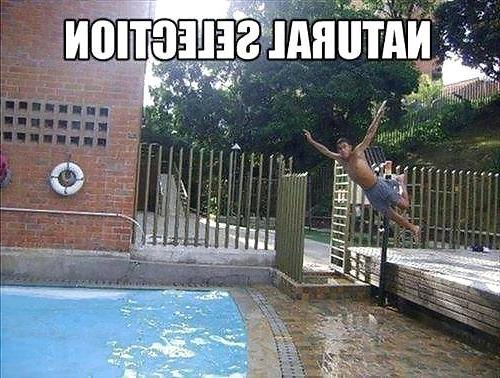11P Funny stuff. A break from porn!