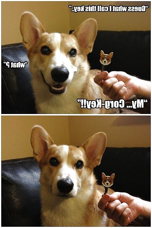 11P Funny stuff. A break from porn!