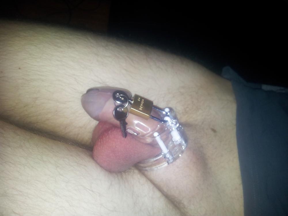 21P Caged cock