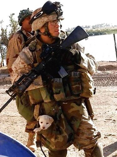 6P Military Funny Shit
