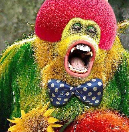 11P Funny Animals! NON-PORN! GET IT!