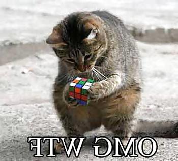 11P Funny Animals! NON-PORN! GET IT!
