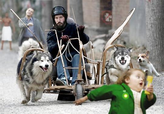 11P Funny Animals! NON-PORN! GET IT!