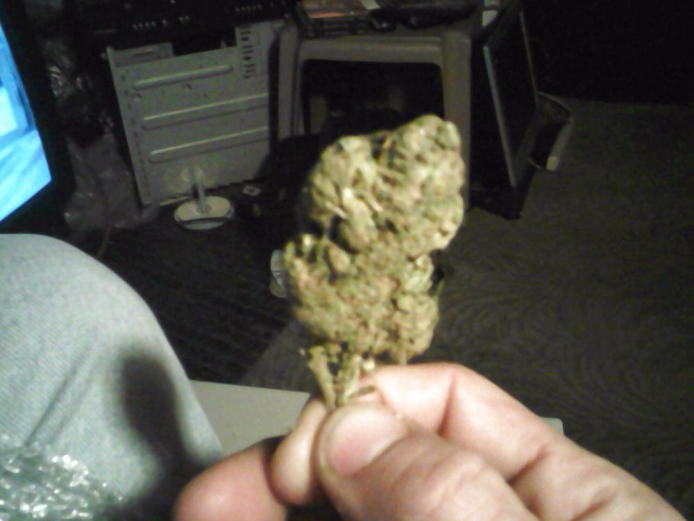 10P High Times recording the New Album