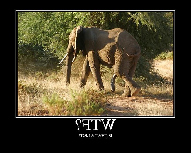 25P Funny Pics III