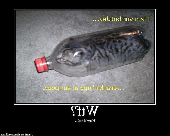 25P Funny Pics III