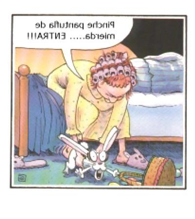 25P Funny Pics III