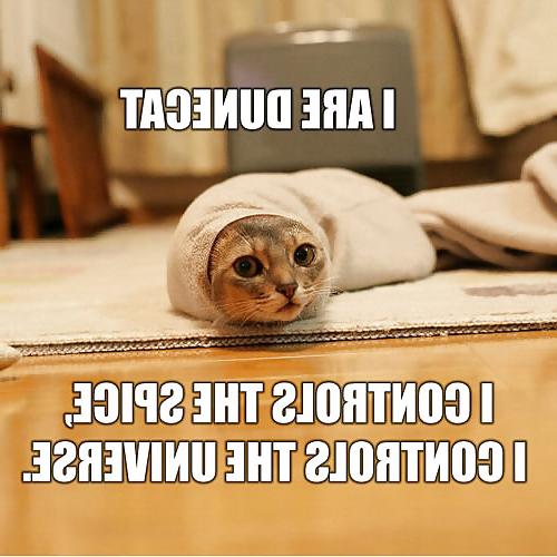 25P Funny pics1