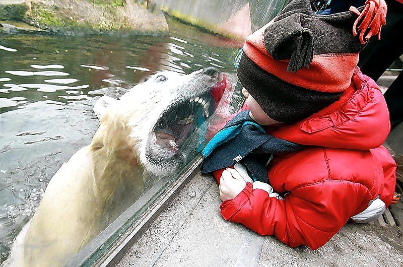 25P Funny pics1