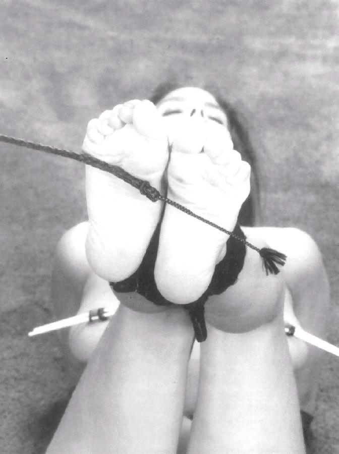 25P Pain & Pleasure 