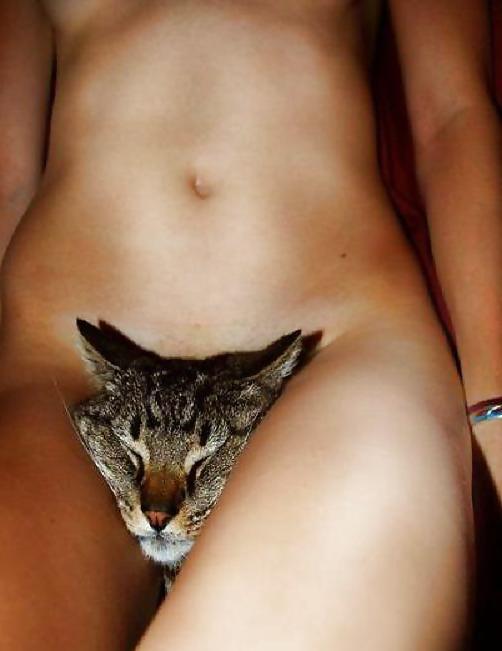 25P Funny pics