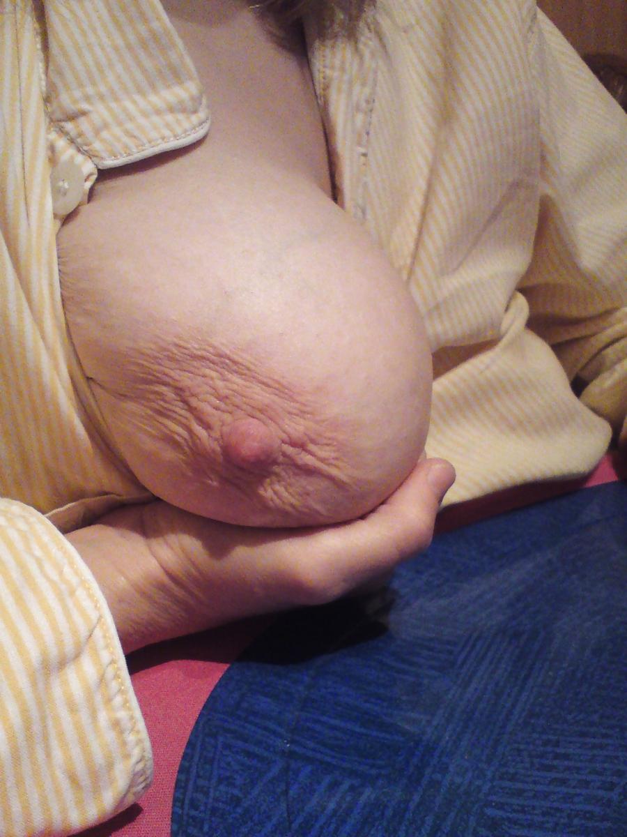 20P Breast Lovers Dream 521
