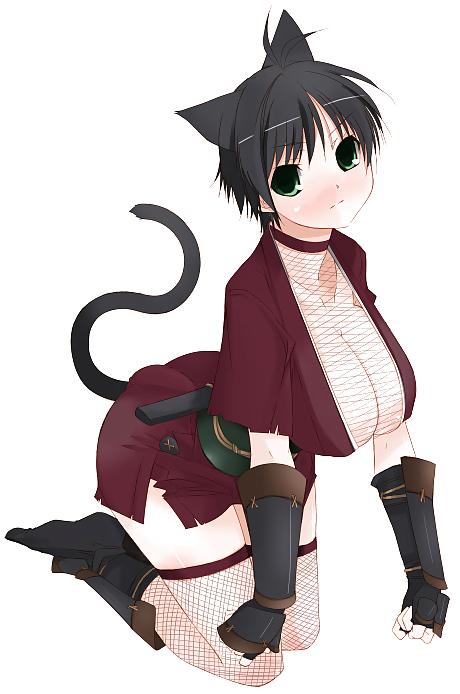 25P Hentai Ninja
