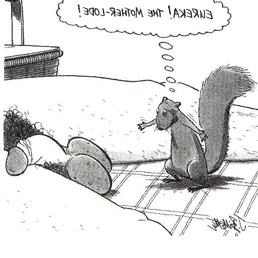 25P Funny Pics 4    verybigcandy