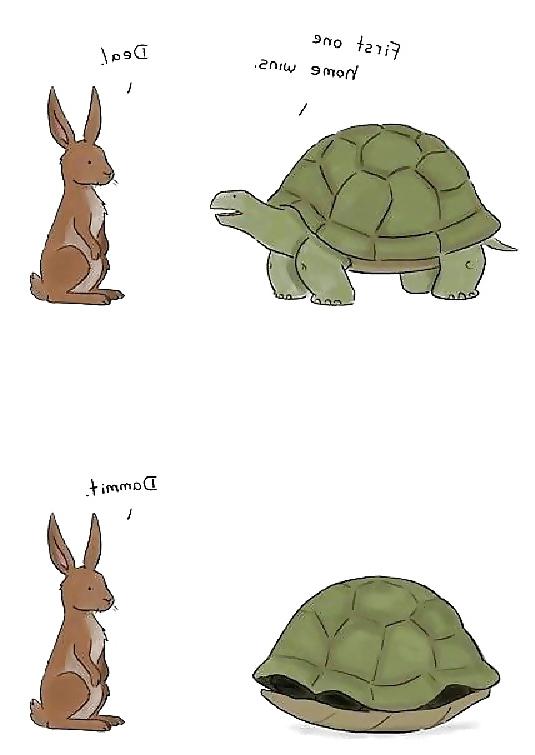 25P Funny Pics 4    verybigcandy