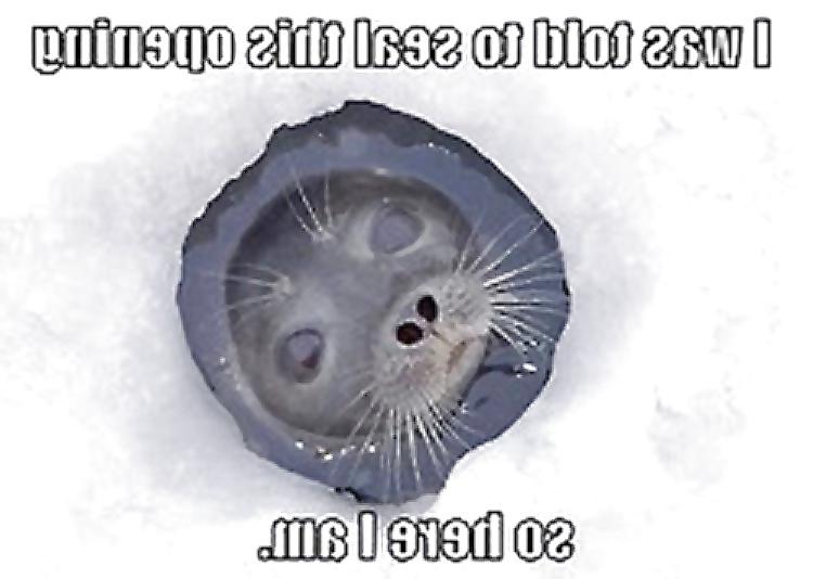 25P Funny Pics 4    verybigcandy