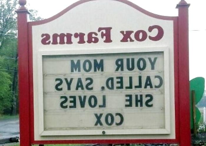 25P Funny Stuff Off The Internet Tubes - Vol. 12