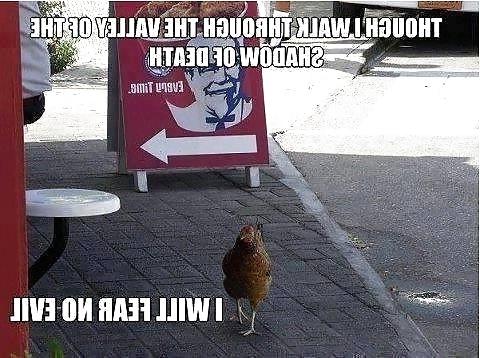 25P Funny Stuff Off The Internet Tubes - Vol. 12