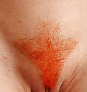 25P Dyed Colered Pubes