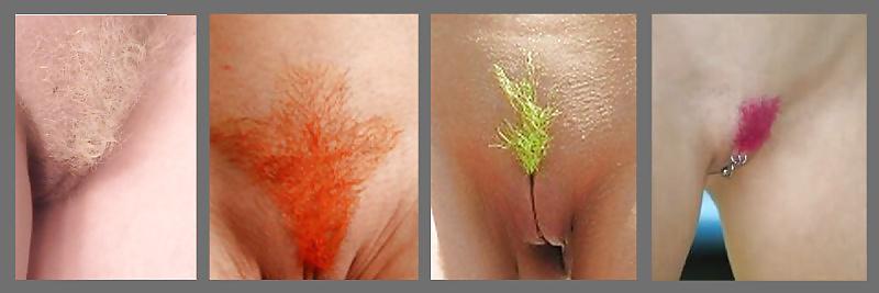 25P Dyed Colered Pubes