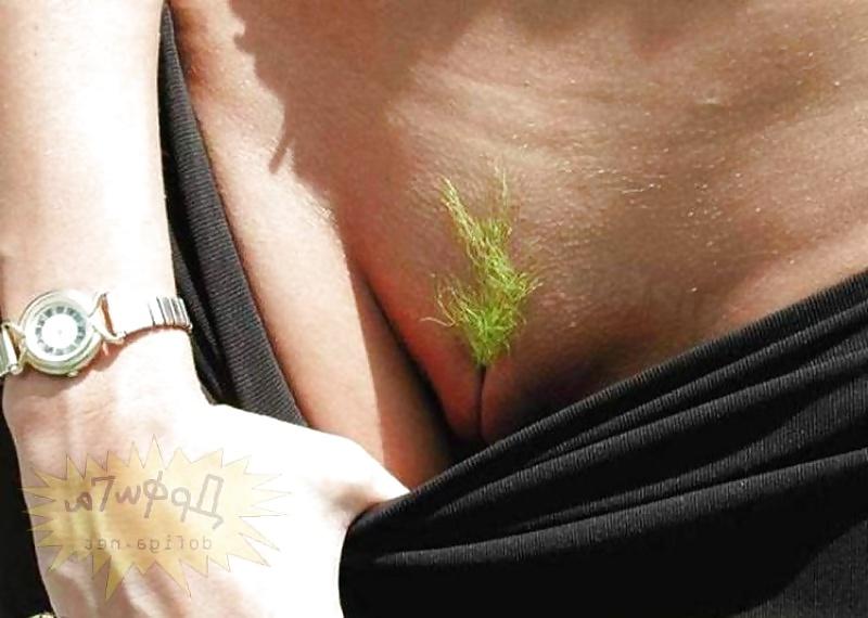 25P Dyed Colered Pubes