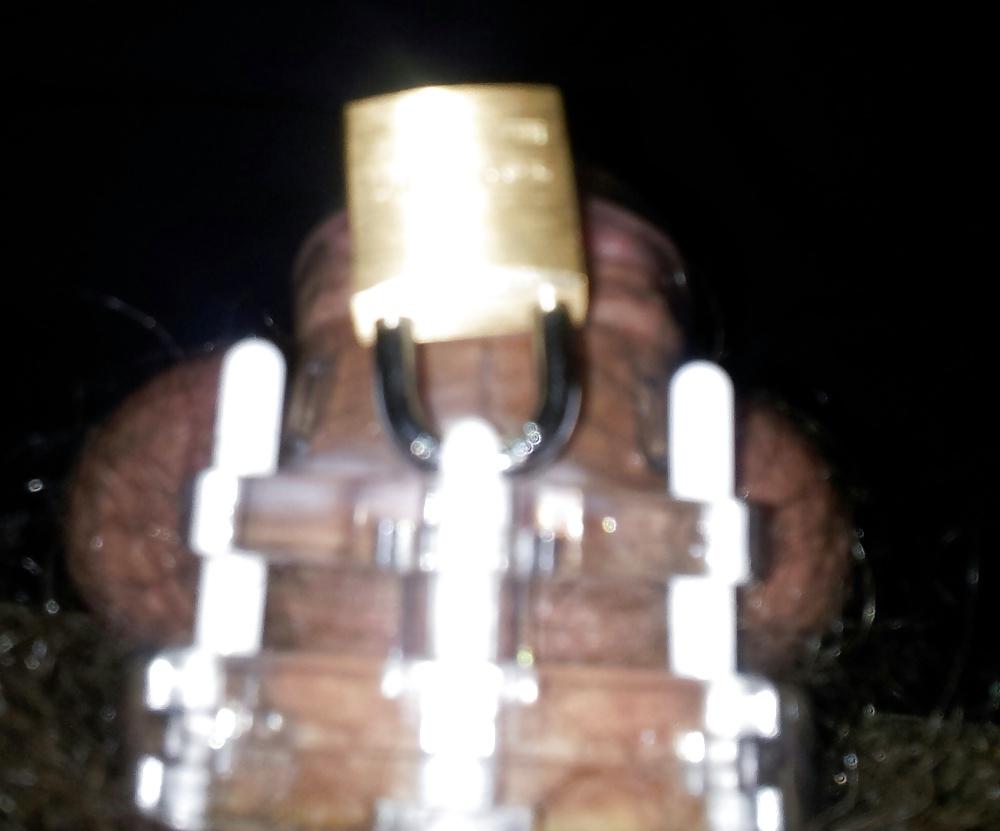 9P New cage