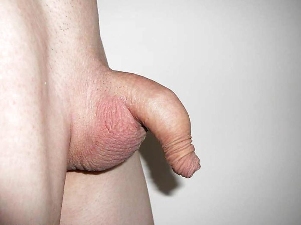 15P Small Penis Collection by Nackedei 07