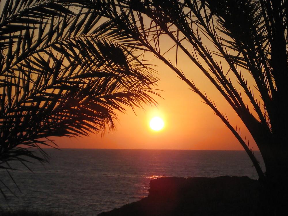 4P Holiday Cyprus
