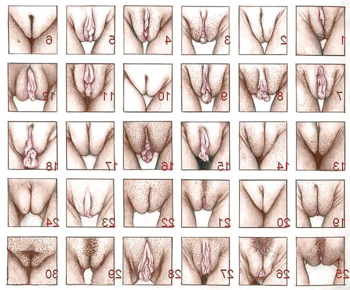 16P Here to have fun and enjoy and share