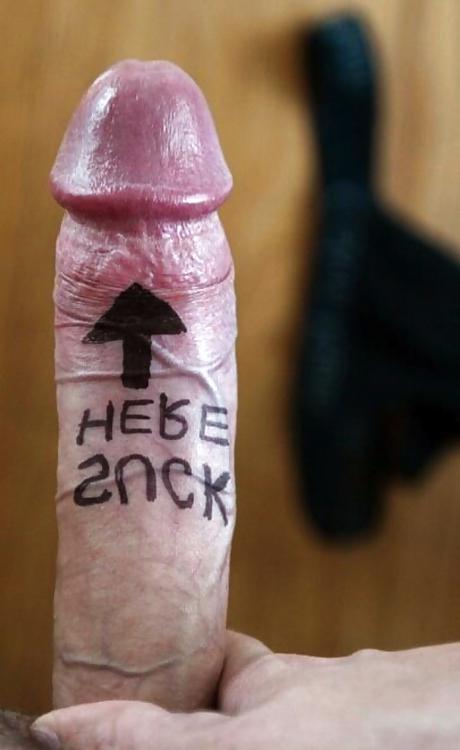20P Funny pics