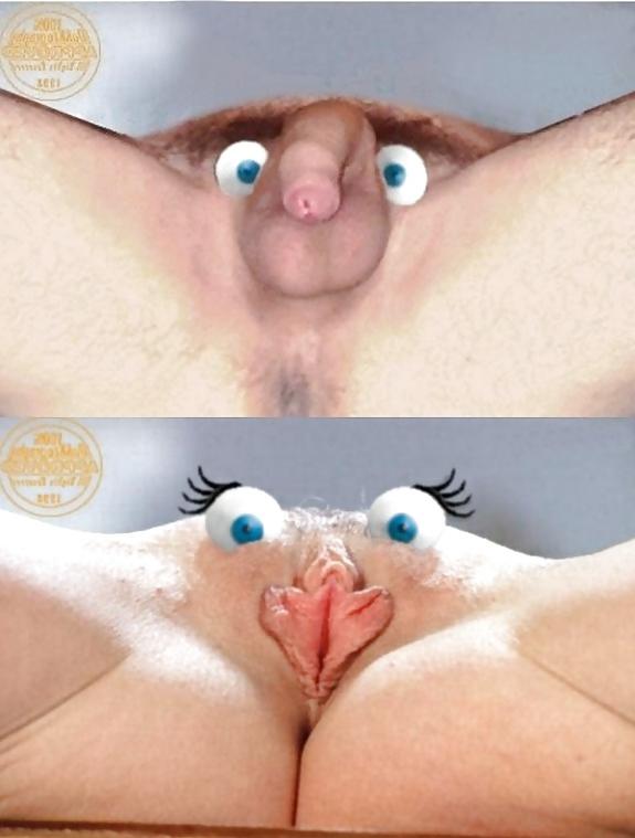 20P Funny pics