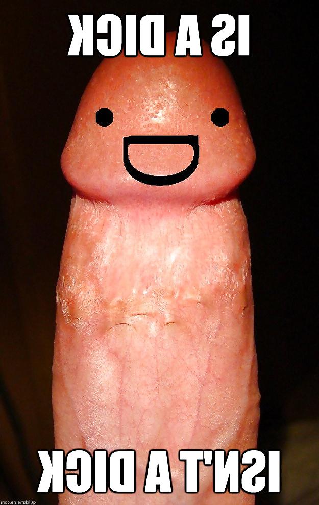 20P Funny pics