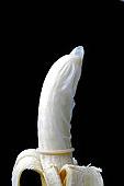 13P Penis 