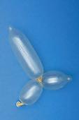 13P Penis 