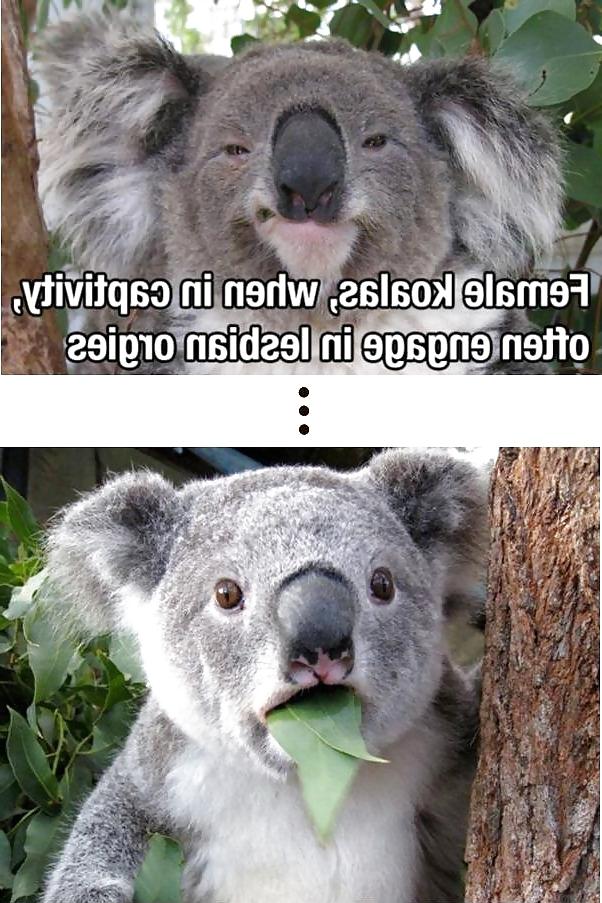 25P Funny Stuff Off The Internet Tubes - Vol. 11
