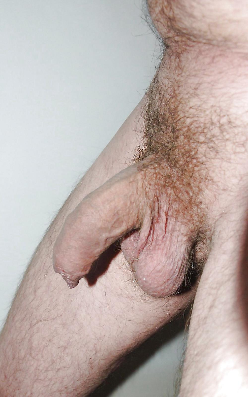 8P Mon sexe ma bite mon penis ma queue au repos