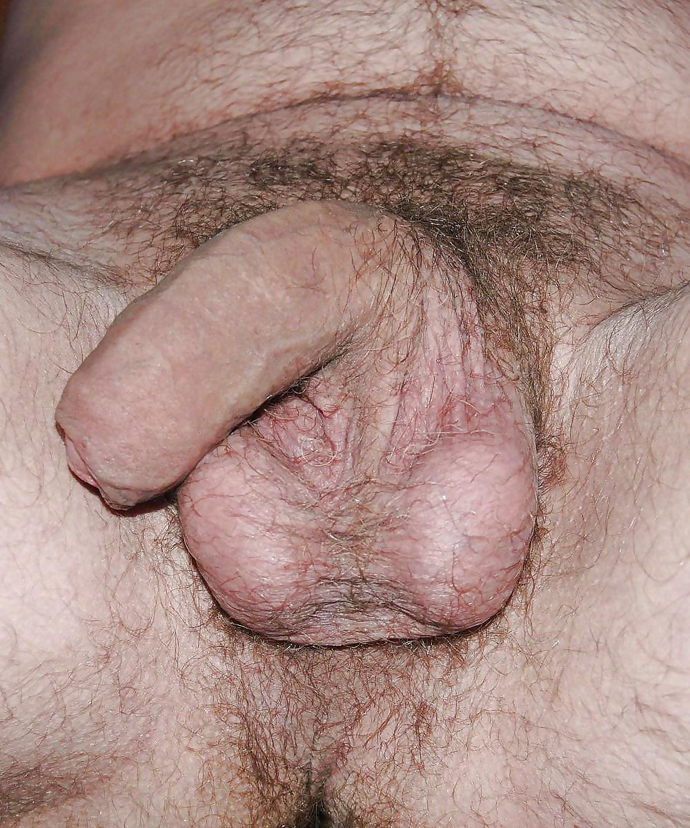 8P Mon sexe ma bite mon penis ma queue au repos