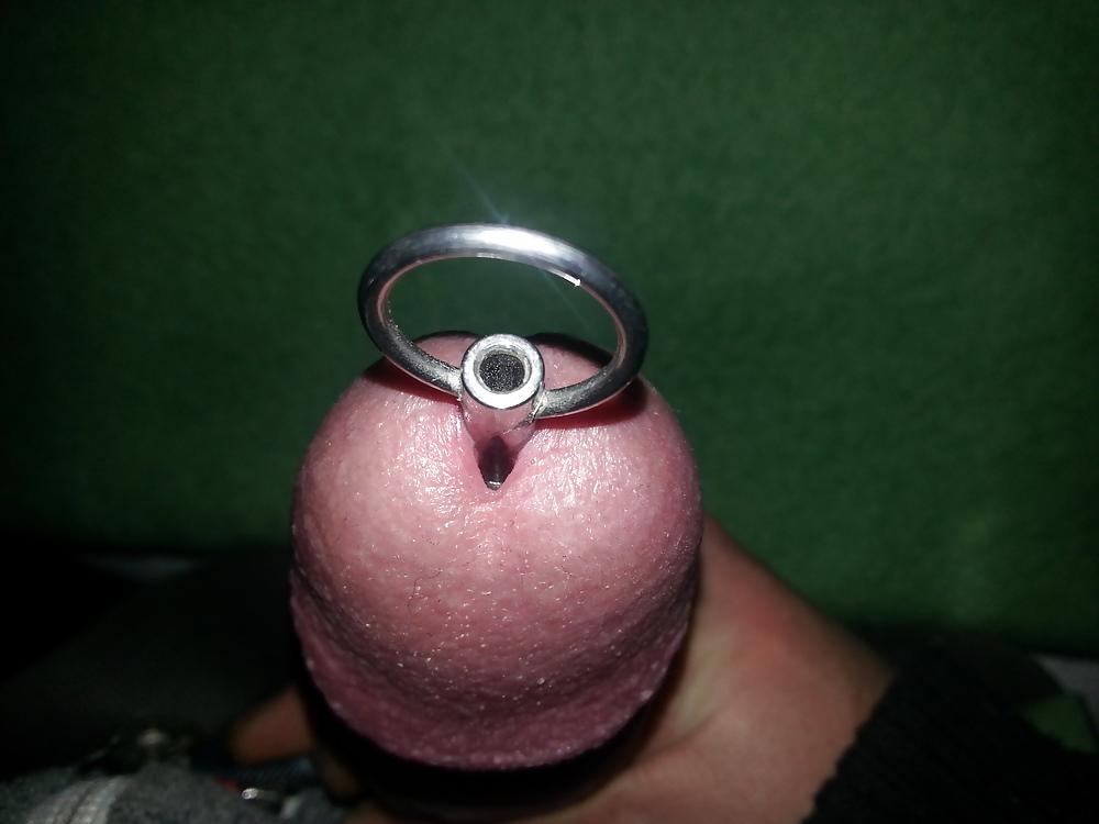 8P Penis plug