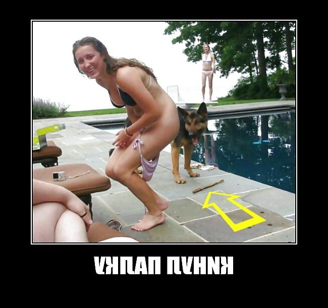 8P Funny #1