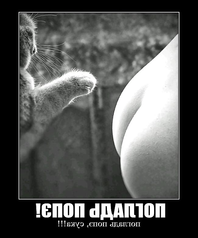 8P Funny #1